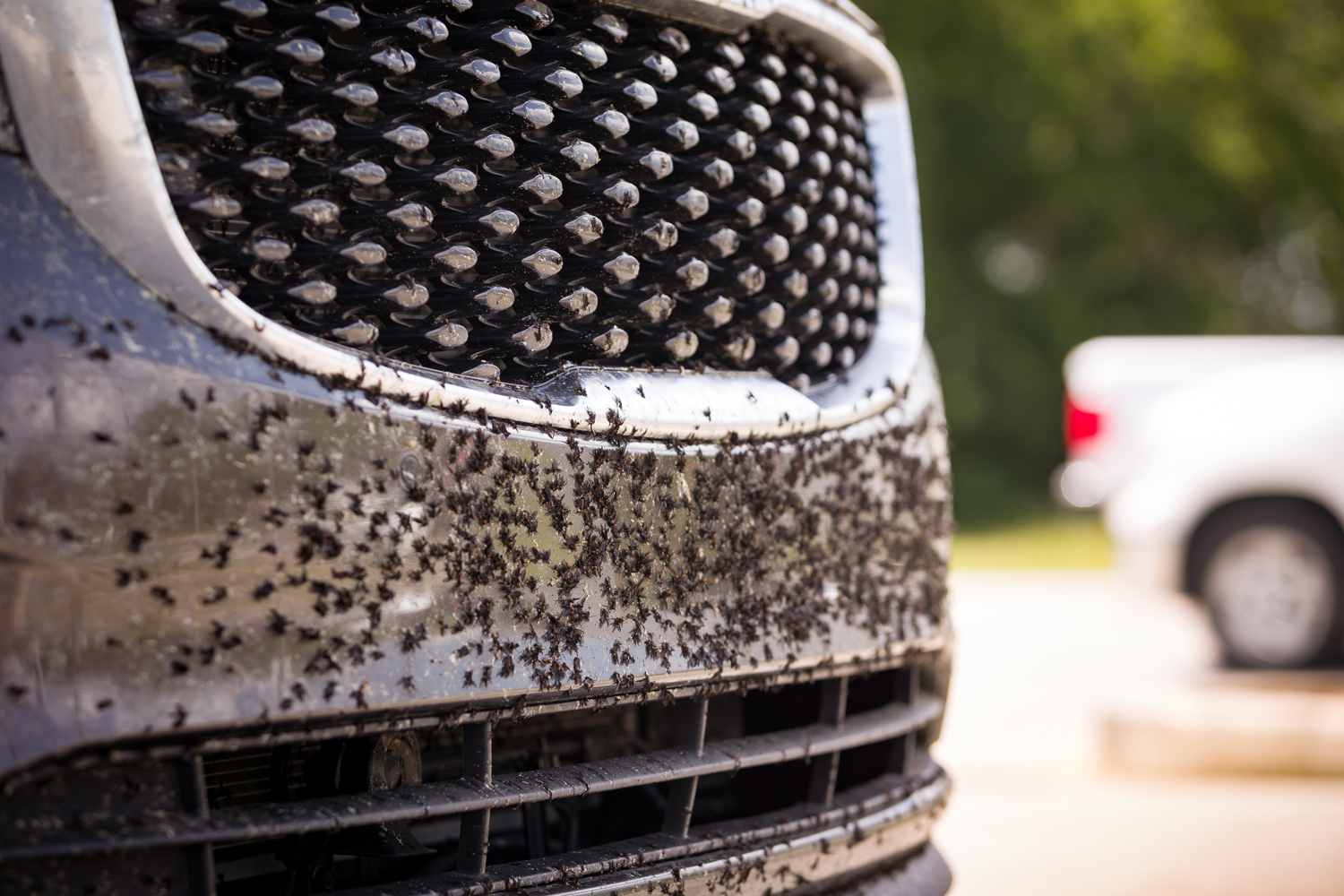 Ceramic Coatings for Cars